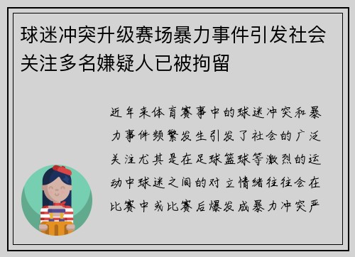 球迷冲突升级赛场暴力事件引发社会关注多名嫌疑人已被拘留 球迷冲突升级赛场暴力事件引发社会关注多名嫌疑人已被拘留